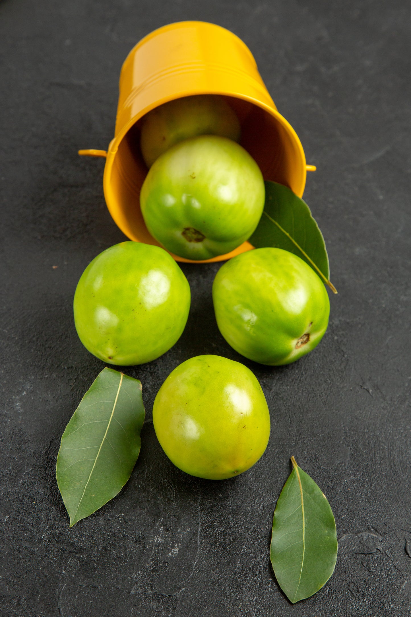 Amla Oil | روغنِ آملہ