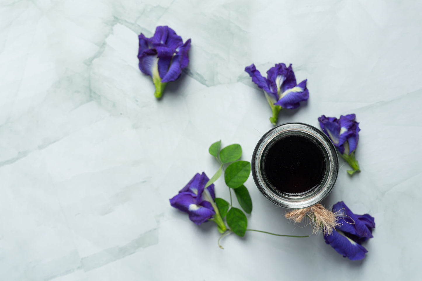 Wild Violet Oil | روغنِ بنفشہ