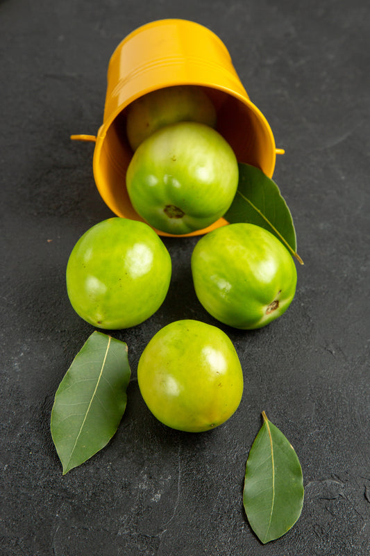 Amla Oil | روغنِ آملہ