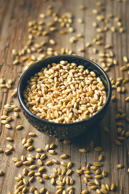Wheat Germ Oil  | روغن گندم